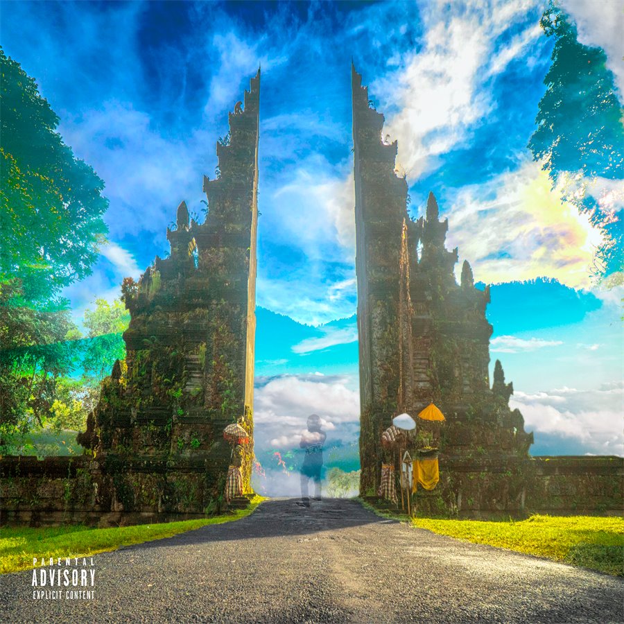 Next Level cover art